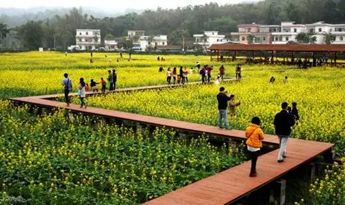 这么美的古老村落都在广州,还能边赏景边农家乐~为什么你还要去凤凰乌镇黄姚?