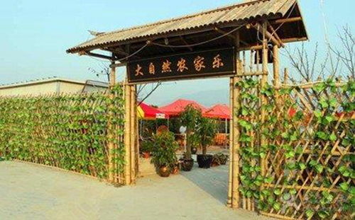 农村里红极一时的农家乐,为何成了夕阳产业,网友 难怪会关门