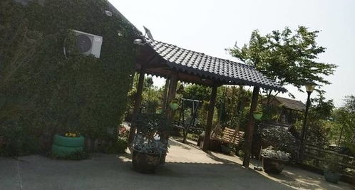 汇建农家乐 踏青赏春光,不负人间四月天