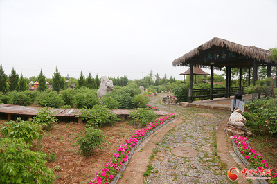 香约庆阳丨宁县瓦斜乡永吉村:农文旅融合奏响乡村振兴“奋进曲”