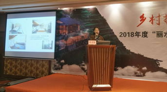 莲都区精品民宿组团参评 丽水山居 农家乐综合体和精品民宿示范项目