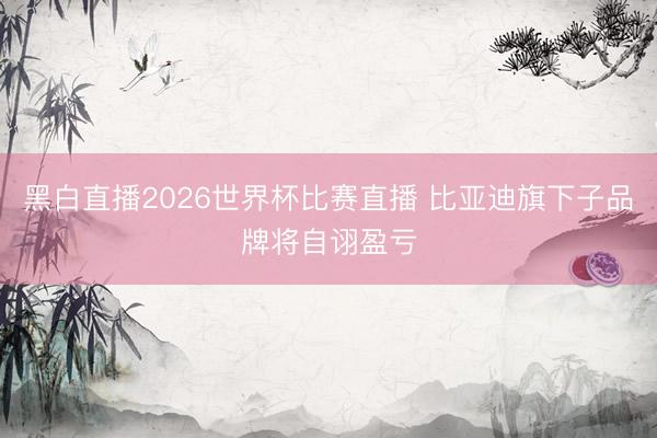 黑白直播2026世界杯比赛直播 比亚迪旗下子品牌将自诩盈亏