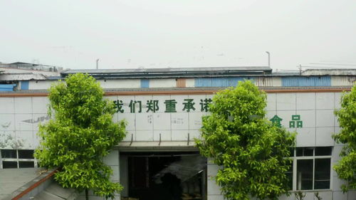 川禾食品生产批发火锅串串香底料工厂拍摄