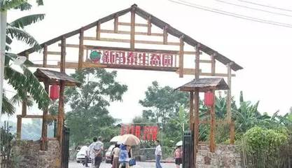 最全南宁农家乐大盘点,年会和聚会就去这些地方了!_其它_网