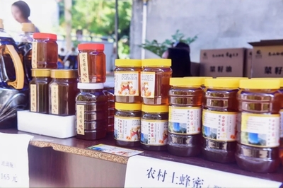 陕西镇坪牛头店湖北竹溪泉溪乡村旅游推介、招商引资暨竹叶村第二届向阳花节活动圆满落幕