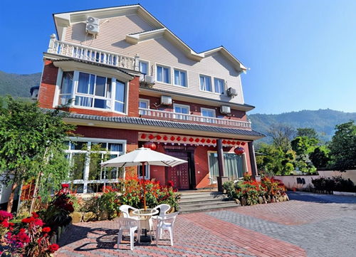 农家乐为何回头客稀少？过来人的体验揭示了真相