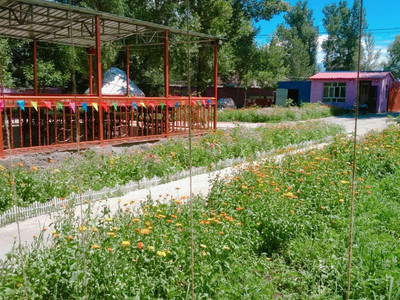 新源晨夕牧屿农家乐 自然与人文的和谐交融