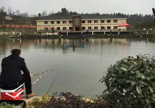 祝贺2018年度夷陵十佳民宿暨精品农家乐评选结果揭晓